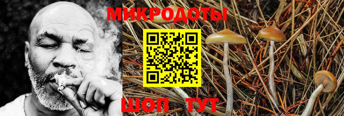 Галлюциногенные грибы Psilocybe  Вход с VPN  Карталы 