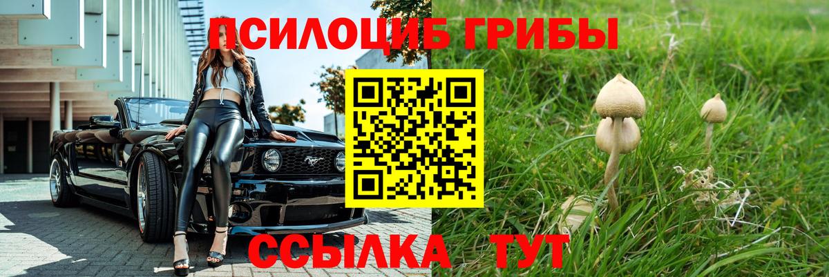 Галлюциногенные грибы прущие грибы Карталы